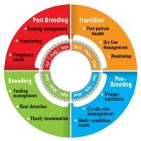 BLRI Breeding Manager