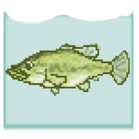 Blackbass Breeding (Aquarium)